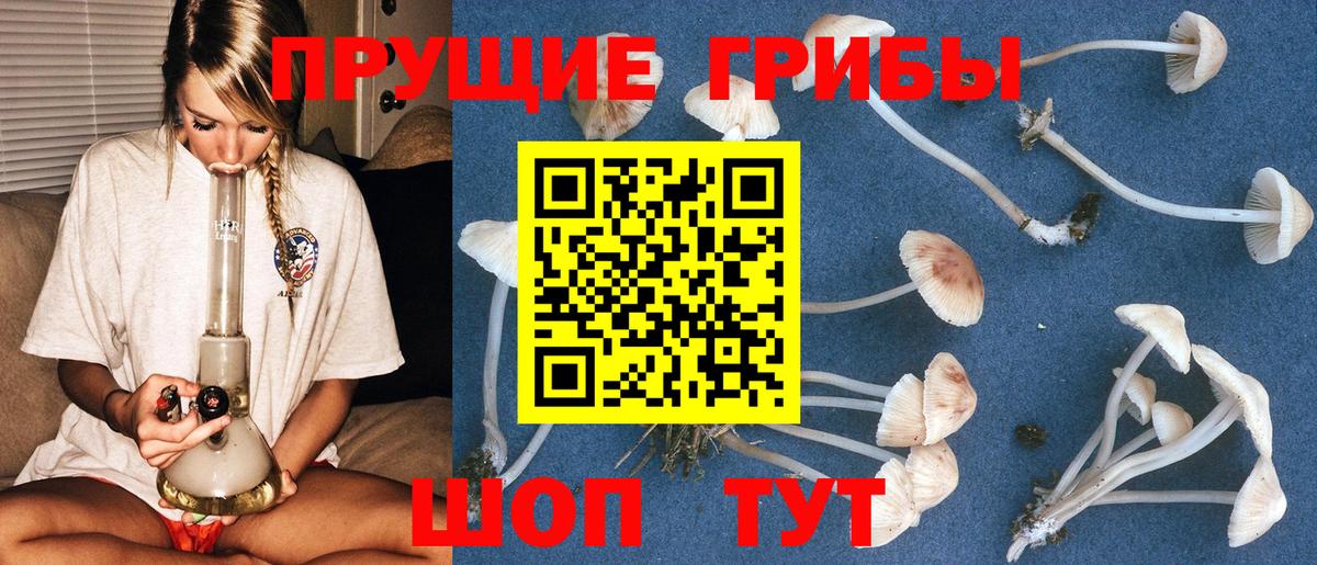 Псилоцибиновые грибы Magic Shrooms Кувандык