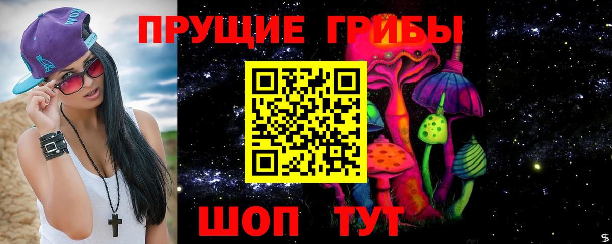 что такое наркотик  Псилоцибиновые грибы ЛСД  Вход с VPN  Кувандык  Галлюциногенные грибы Magic Shrooms 